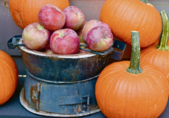 Pumpkin Apple Soy Candle Tin